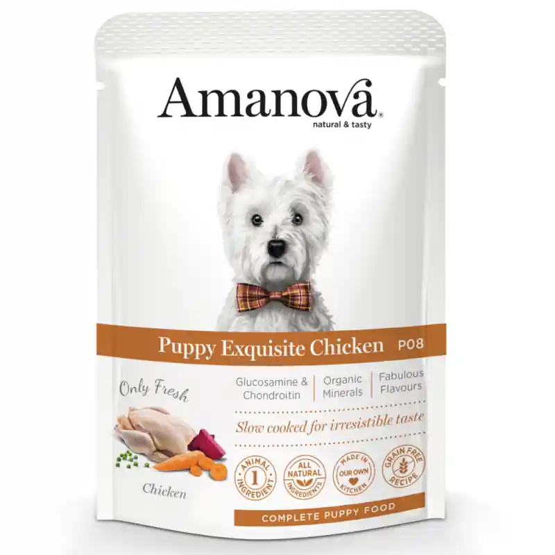 Amanova Hond Puppy Exquisite Chicken 100gr
