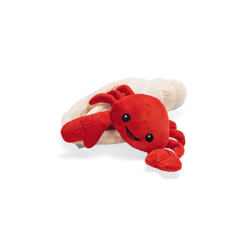 Beeztees Hide & Seek Kreeft