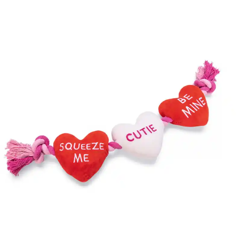 Beeztees Flossy Love Rood