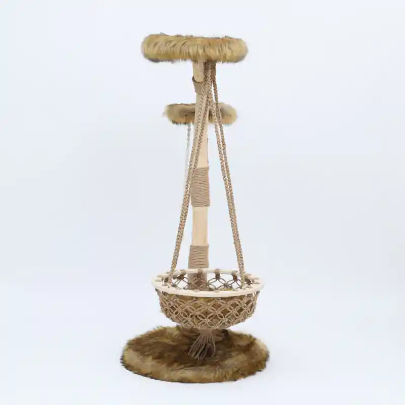 Boony "Est 1941" Klimboom Quercus Grizzly Bruin