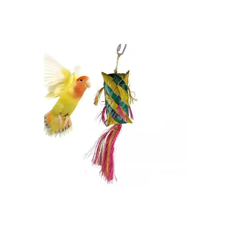 Back Zoo Nature pi?ata