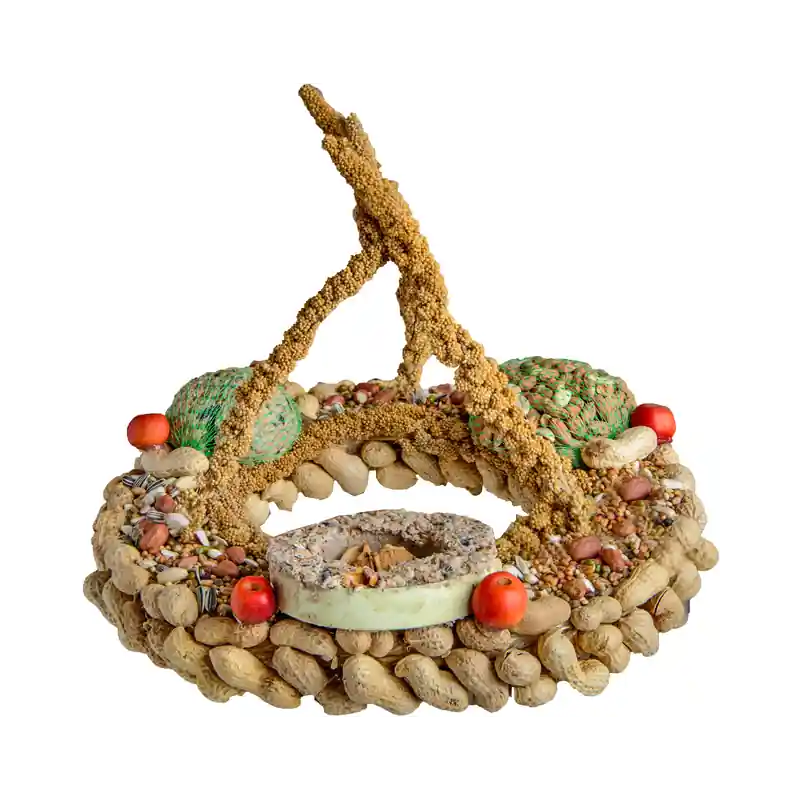 Voederplatform met pindanet, mezenbol en vetring