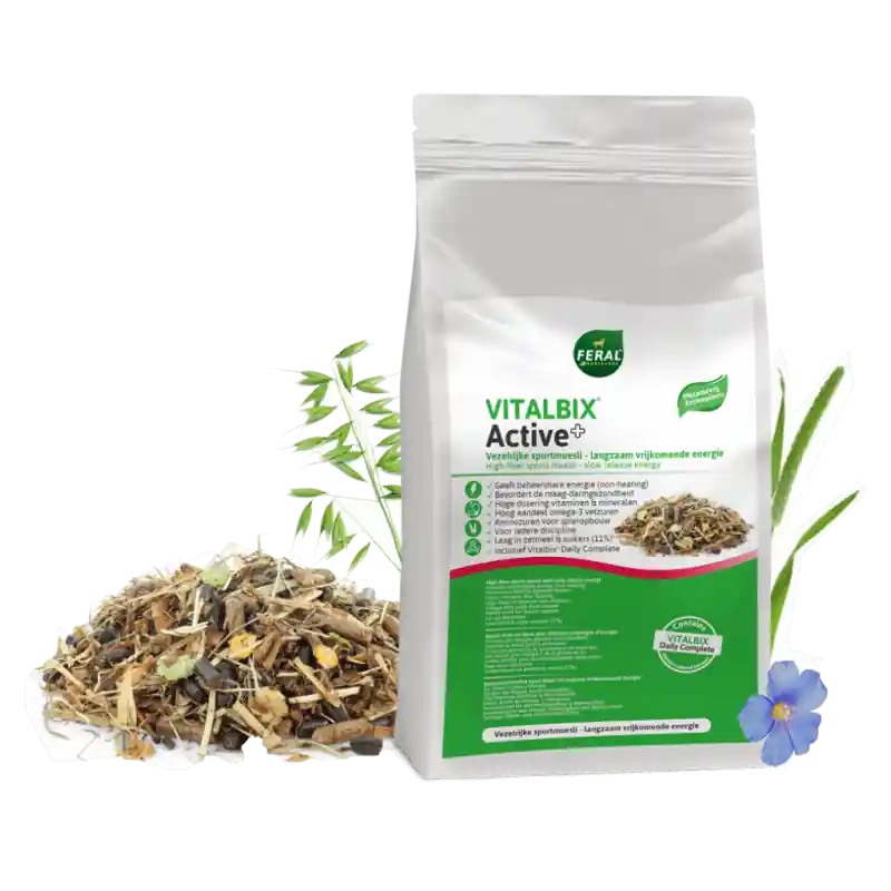 Vitalbix Active+ 14kg
