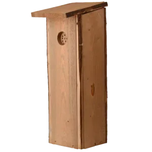 Nestkast grote bonte specht