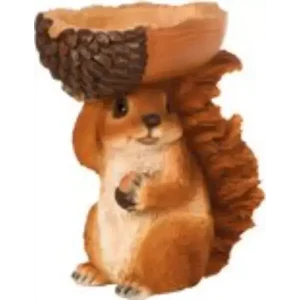 Voederschaal Eekhoorn