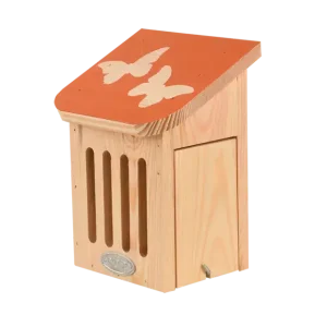 Diapositief vlinderkast