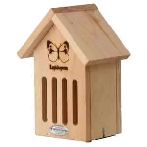 Vlinderkast silhouet