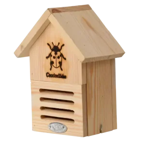 Lieveheersbeestkastje silhouet