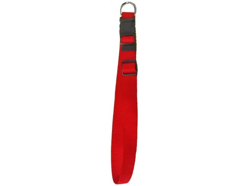 Halsband verstelb. 25mm/55-70cm rd