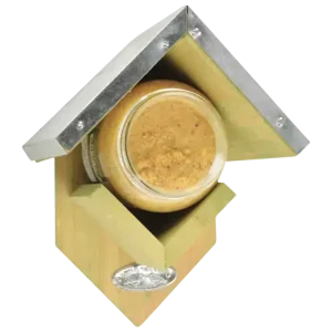 FB213 + FB261 in display