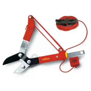 RC-M BOOMSCHAAR AAMBEELD