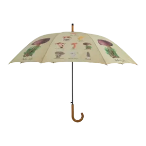 Paraplu paddenstoelen