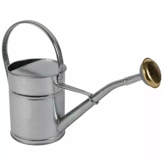 Gieter metaal verzinkt 2l