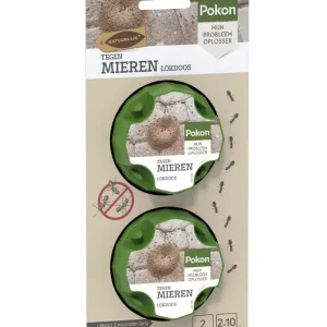 Pokon Tegen Mieren Mier-Ex Lokdoos 2 stuks