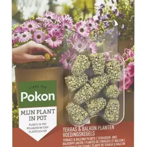 Pokon Terras & Balkon Planten Voedingskegels 10st
