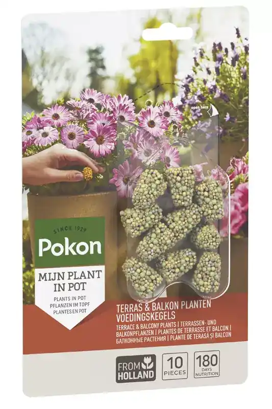 Pokon Terras & Balkon Planten Voedingskegels 10st