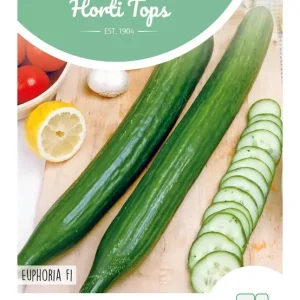 Komkommer Euphoria F1