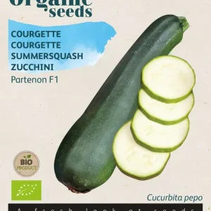 Courgette Partenon F1