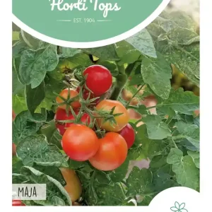 Tomaat Maja, Balkontomaat