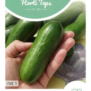 Snackkomkommer Iznik F1