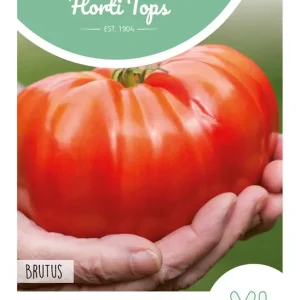 Tomaat Brutus Vleestomaat