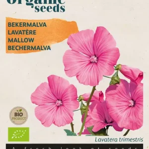 Lavatera, Bekermalva rose/rood