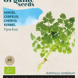 Kervel Fijne Krul