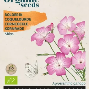 Agrostemma Bolderik Milas