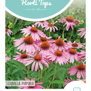 Echinacea, Rode Zonnehoed