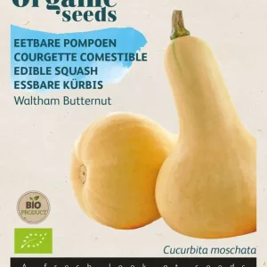 Eetbare Pompoen Waltham Butternut