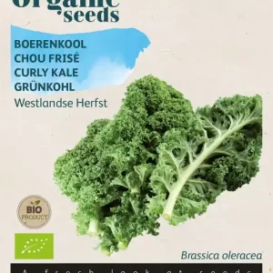 Boerenkool Westlandse Herfst