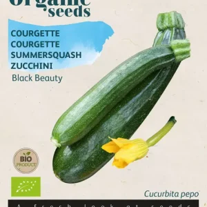 Courgette Black Beauty