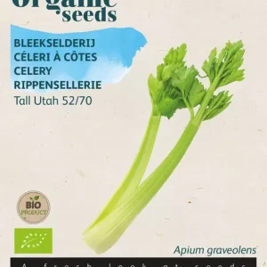 Bleekselderij Tall Utah 52/70