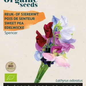 Lathyrus, Reuk- of Siererwt Spencer