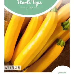 Courgette Gold Rush F1