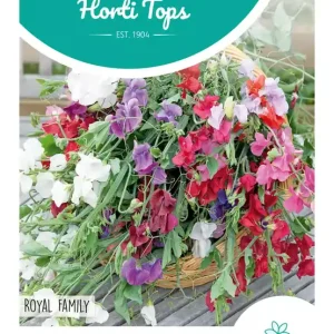 Lathyrus, Reuk- of Siererwt Royal Family gemengd