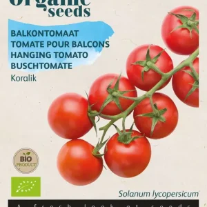 Balkontomaat Koralik