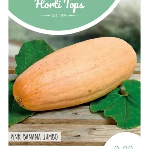 Pompoen Pink Banana Jumbo