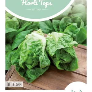 Romeinse mini sla Little Gem (bindsla)