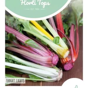 Snijbiet Bright Lights (Regenboog)