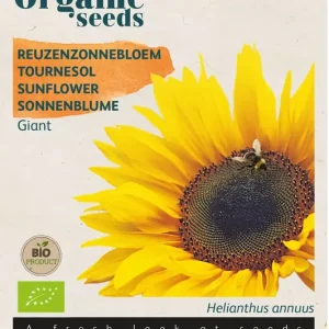 Helianthus, Reuzenzonnebloem giganteus