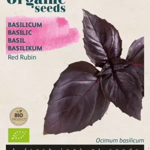 Basilicum Red Rubin