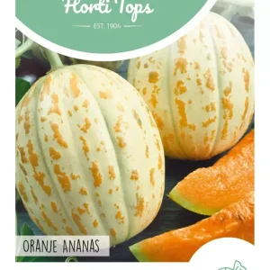 Meloen Oranje Ananas