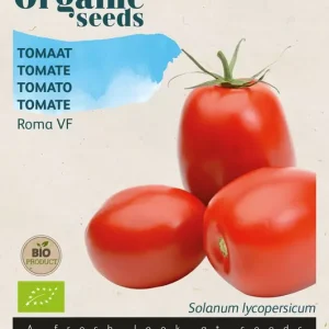 Tomaat Roma VF