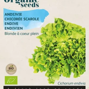 Andijvie Gele Volhart