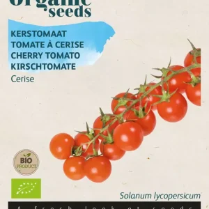 Kerstomaten Cerise - Organic Tomaat
