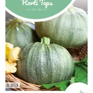 Courgette Rond Di Nizza / De Nice