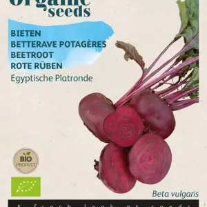 Biet Egyptische Platronde