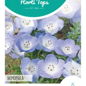 Nemophila, Haagbloem Hemelsblauw