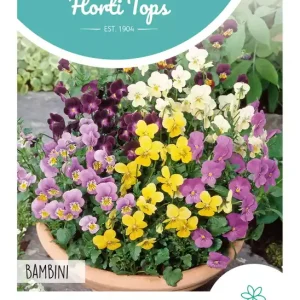 Viola, Hoornviooltje Bambini gemengd